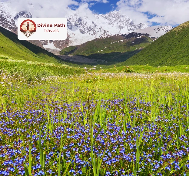 Valley of Flowers Tour Packages