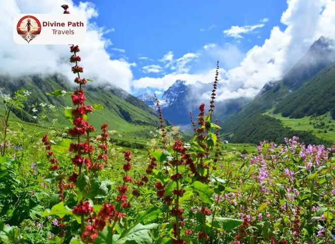 Valley of Flowers Trek Package from Haridwar